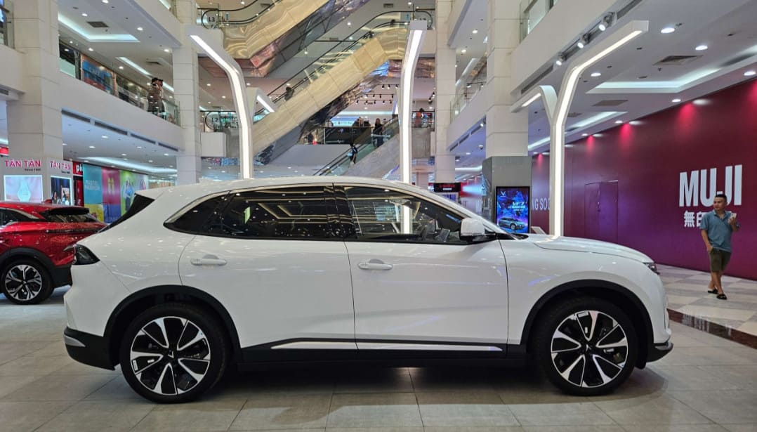 hong xe vinfast vf 8